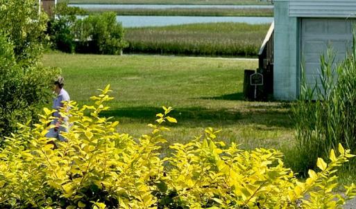 Photo #4 of 7080 PINE DR, CHINCOTEAGUE, VA 0.3 acres