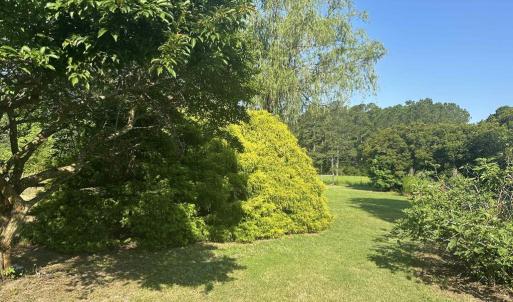 Photo #30 of 12185 HACKSNECK RD, HACKSNECK, VA 0.8 acres