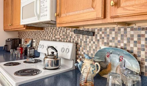 Photo #10 of 32237 CLEARWATER WAY, CRADDOCKVILLE, VA 4.0 acres