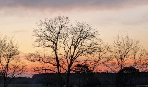 Photo #35 of 31143 NANDUA DR, PAINTER, VA 1.9 acres