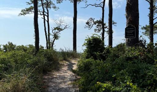 Photo #19 of 16115 CANDY LANE, CAPE CHARLES, VA 0.5 acres