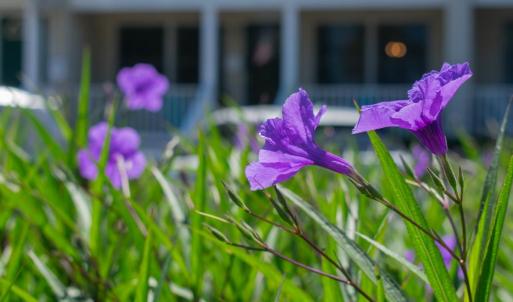 Photo #4 of 524 A WASHINGTON AVE, CAPE CHARLES, VA