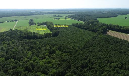 Photo #15 of 16398 PUNGOTEAGUE RD, PAINTER, VA 84.1 acres