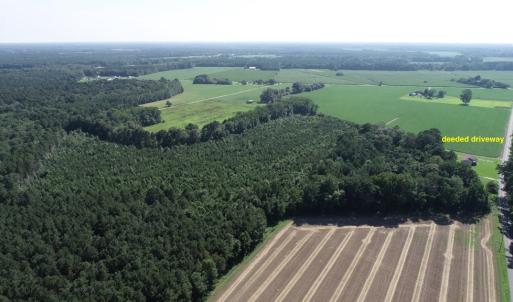 Photo #16 of 16398 PUNGOTEAGUE RD, PAINTER, VA 84.1 acres