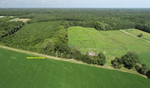 Photo #18 of 16398 PUNGOTEAGUE RD, PAINTER, VA 84.1 acres