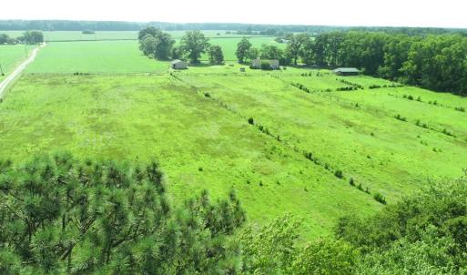 Photo #5 of 16398 PUNGOTEAGUE RD, PAINTER, VA 84.1 acres
