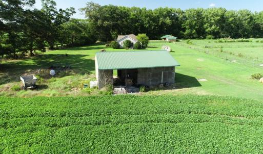 Photo #7 of 16398 PUNGOTEAGUE RD, PAINTER, VA 84.1 acres