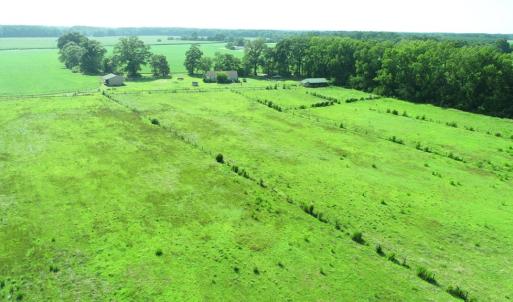 Photo #9 of 16398 PUNGOTEAGUE RD, PAINTER, VA 84.1 acres