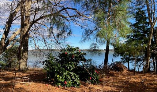 Photo #7 of 6081 CREEK CT, JAMESVILLE, VA 0.8 acres