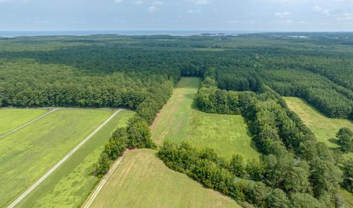 Photo #21 of 29503 BURTON RD, PAINTER, VA 20.1 acres