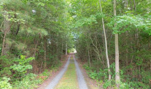 Photo #34 of 35204 BLUFF DR, BELLE HAVEN, VA 2.1 acres