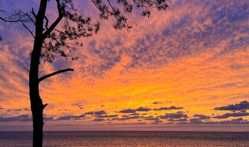 Photo #58 of 35204 BLUFF DR, BELLE HAVEN, VA 2.1 acres