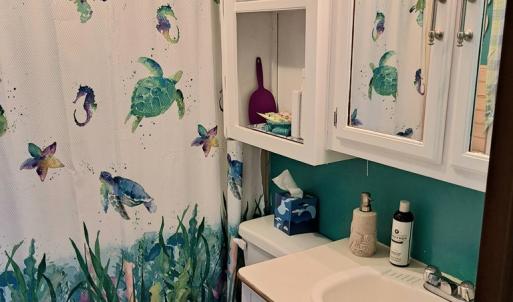 Photo #22 of 8031 MIRE POND ONE, CHINCOTEAGUE, VA 0.1 acres