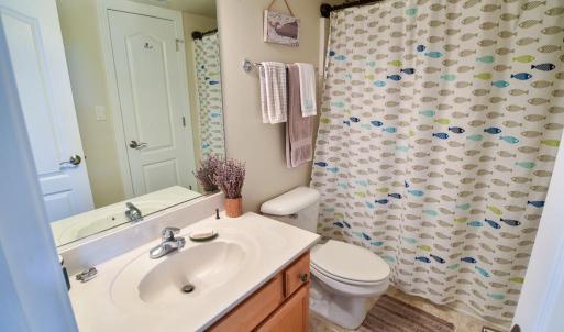 Bathroom 3- First Floor