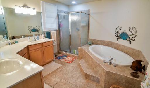 Primary Bath- Tub and Shower