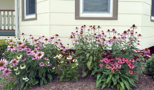 Photo #53 of 6326 CLEVELAND ST, CHINCOTEAGUE, VA 0.2 acres