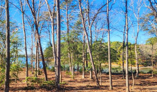 Photo #41 of 4442 WILSONIA SHORES DR, MACHIPONGO, VA 1.0 acres