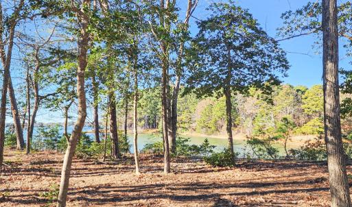 Photo #43 of 4442 WILSONIA SHORES DR, MACHIPONGO, VA 1.0 acres