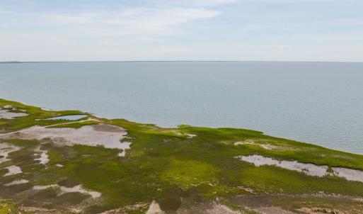 Photo #10 of 41198 SEA GULL DR, QUINBY, VA 1.0 acres