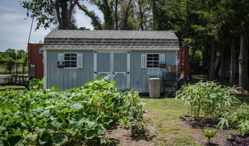 Shed