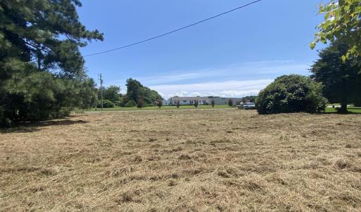 View of front yard from the door.