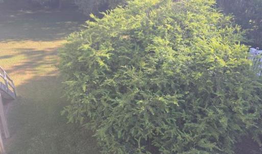 Photo #12 of 6541 BROADWATER CIR, OYSTER, VA 0.3 acres