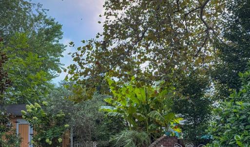 Photo #59 of 538 RANDOLPH AVE, CAPE CHARLES, VA 26.0 acres