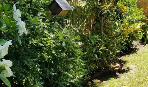 Photo #61 of 538 RANDOLPH AVE, CAPE CHARLES, VA 26.0 acres