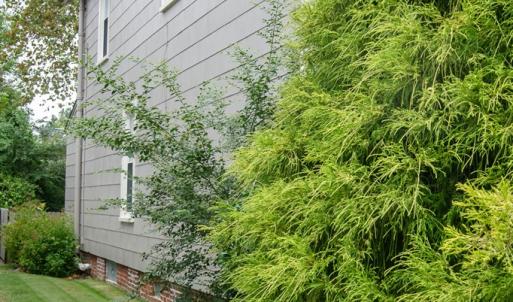 Photo #62 of 538 RANDOLPH AVE, CAPE CHARLES, VA 26.0 acres