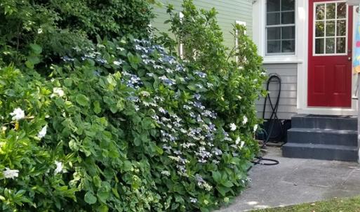 Photo #63 of 538 RANDOLPH AVE, CAPE CHARLES, VA 26.0 acres