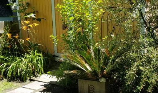 Photo #70 of 538 RANDOLPH AVE, CAPE CHARLES, VA 26.0 acres