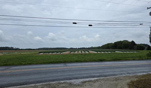 Photo #11 of 9046 OCCOHANNOCK NECK RD, EXMORE, VA 0.4 acres