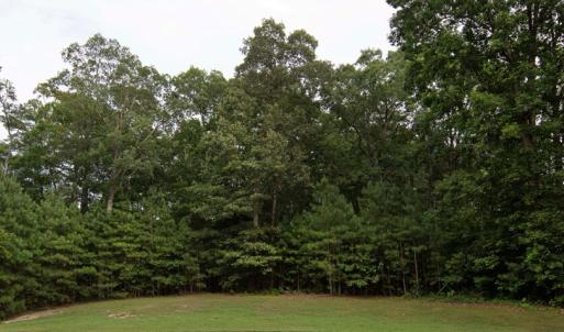 Photo #9 of Lot 65 INDIGO LANE, HORNTOWN, VA 3.4 acres