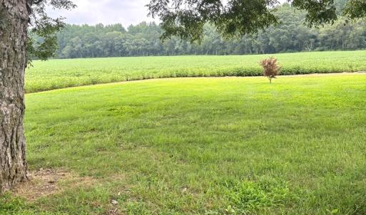 Country setting