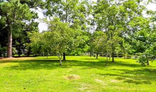 Photo #8 of 3340 WILLOW ST, CHINCOTEAGUE, VA 0.7 acres