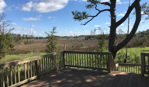 Photo #4 of 14290 RIDGE RD, BLOXOM, VA 3.4 acres