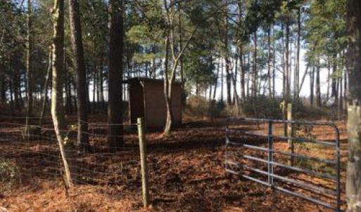 Photo #5 of 14290 RIDGE RD, BLOXOM, VA 3.4 acres