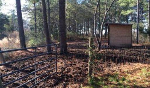 Photo #6 of 14290 RIDGE RD, BLOXOM, VA 3.4 acres