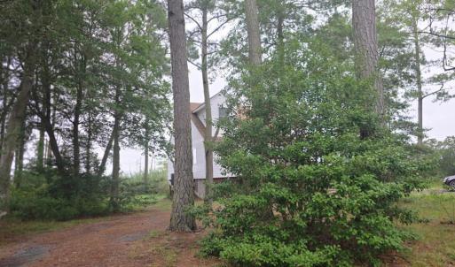 Photo #9 of 14290 RIDGE RD, BLOXOM, VA 3.4 acres