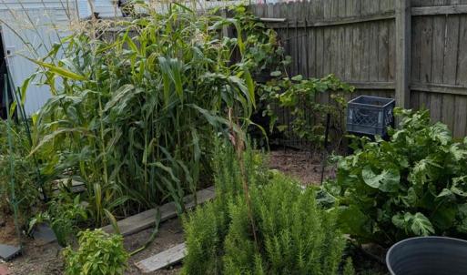 Photo #23 of 6390 CHURCH ST, CHINCOTEAGUE, VA 10,890.0 acres
