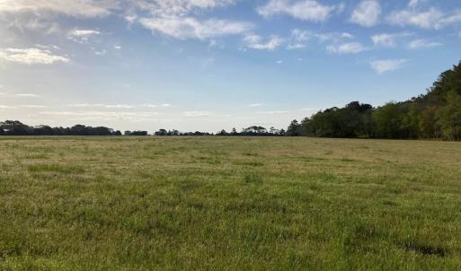 Photo #12 of 28109 ALICATO RD, PARKSLEY, VA 0.5 acres