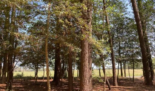 Photo #13 of 28109 ALICATO RD, PARKSLEY, VA 0.5 acres