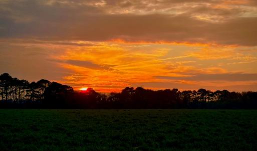 Photo #56 of 3134 SAPPHIRE COURT, CAPE CHARLES, VA 0.6 acres