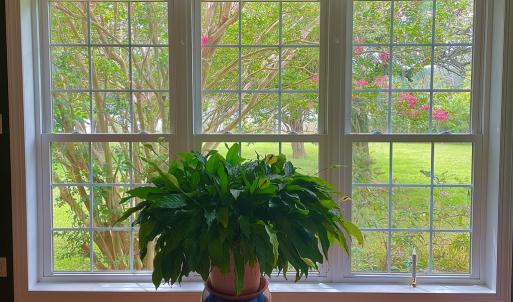 Photo #34 of 18731 JOHNSONS LANDING RD, PARKSLEY, VA 2.8 acres
