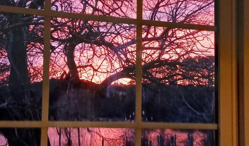 Photo #36 of 18731 JOHNSONS LANDING RD, PARKSLEY, VA 2.8 acres