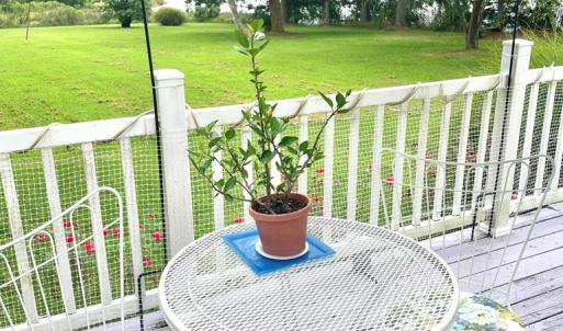 Photo #45 of 18731 JOHNSONS LANDING RD, PARKSLEY, VA 2.8 acres