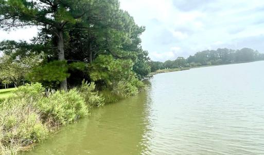 Photo #74 of 18731 JOHNSONS LANDING RD, PARKSLEY, VA 2.8 acres