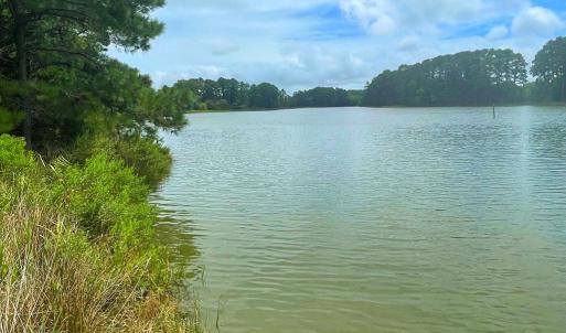 Photo #75 of 18731 JOHNSONS LANDING RD, PARKSLEY, VA 2.8 acres