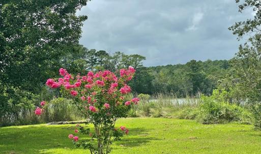 Photo #80 of 18731 JOHNSONS LANDING RD, PARKSLEY, VA 2.8 acres