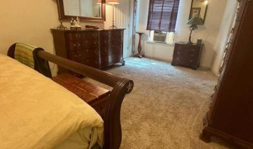 Photo #45 of 39030 STATE LINE RD, GREENBACKVILLE, VA 0.5 acres